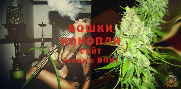 МДПВ Богородицк