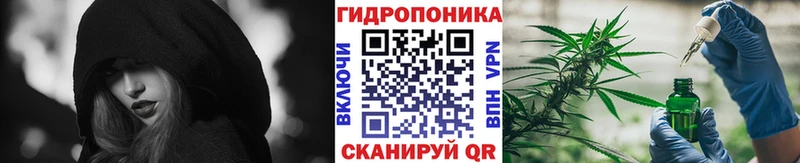 Конопля индика  Новокубанск 
